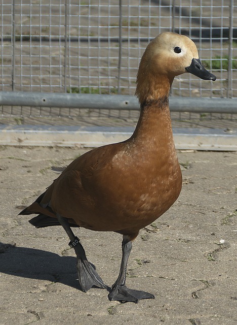 他与穆萨