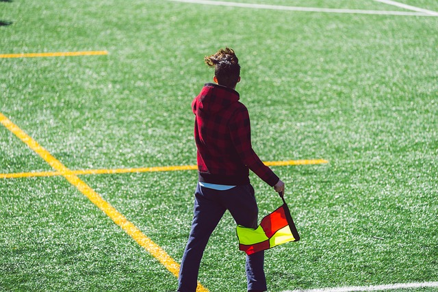 贝林指导了 贝林指导了