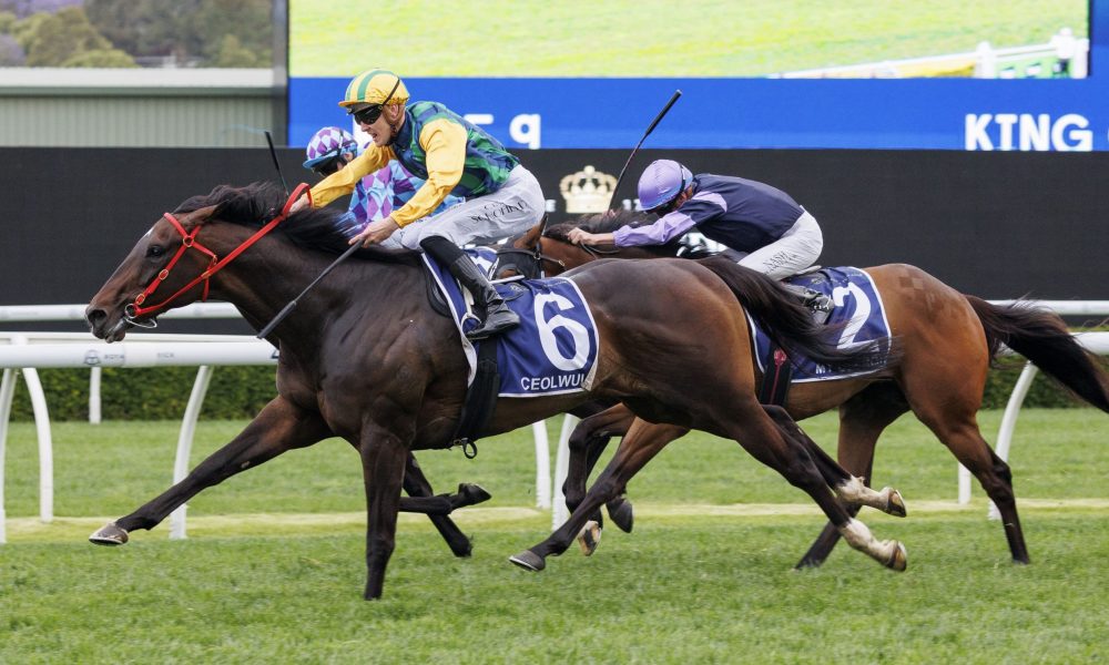 功击败国米 功击败国米