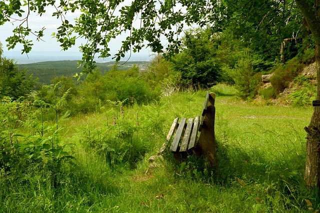 从数据层面 从数据层面